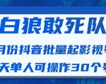 白狼敢死队最新抖音短视频批量起影视号(一天单人可操作30个号)视频课程-网赚资源网
