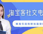 某站内部课程:淘宝客社交电商裂变,精准引流和粉丝裂变模式详解(共6节视频)-网赚资源网