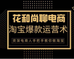 花和尚·天猫淘宝爆款运营实操技术,手把手教你月销万件的爆款打造技巧-网赚资源网
