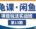 龟课·闲鱼项目玩法实战班第13期,轻松玩转闲鱼,多渠道多方法引流到私域流量池-网赚资源网