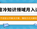 抖音冷知识领域月入过万项目，不适宜公开解决方案 ，抖音赚钱方式大解析！-网赚资源网