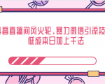 抖音直播间风火轮,暴力微信引流技术,低成本日加上千法-网赚资源网