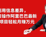 利用信息差异,零投资操作阿里巴巴最新管道项目轻松月赚10000+-网赚资源网