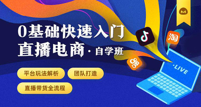 0基础快速入门直播电商课程：直播平台玩法解析-团队打造-带货全流程等环节 - 网赚资源网-网赚资源网