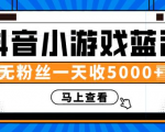 赚钱计划:抖音小游戏蓝海项目,无粉丝一天收入5000+-网赚资源网