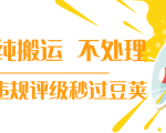 抖音纯搬运 不处理 小技巧,30秒发一个作品,避免违规评级秒过豆荚-网赚资源网