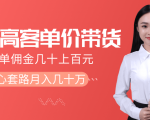 抖音高单价带货项目,一单佣金几十上百元,核心套路月入几十万(共3节)-网赚资源网