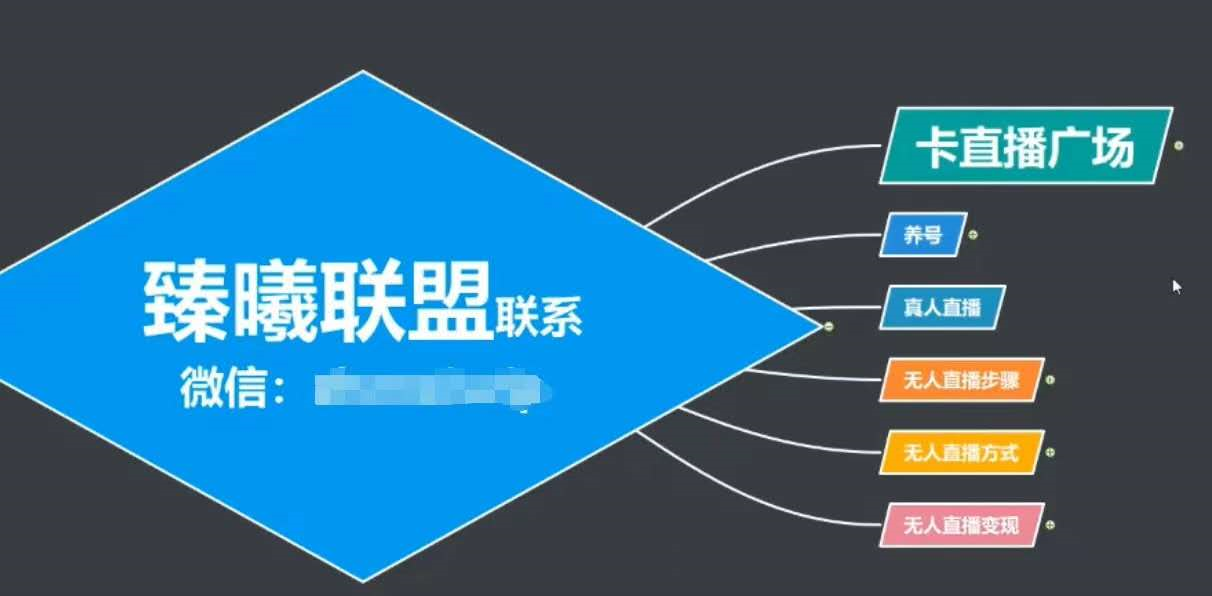 臻曦联盟，最新无人直播万人在线技术理原及详细操作步骤解析（视频教程） - 网赚资源网-网赚资源网