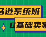 亚马逊系统班,专为0基础卖家量身打造,亚马逊运营流程与架构-网赚资源网