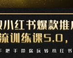 小红书爆款推广引流训练课5.0,手把手带你玩转小红书(17节实操视频+话术)-网赚资源网