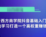 抖音基础入门班：小白0基础学习打造一个高权重赚钱的抖音号-网赚资源网