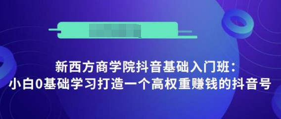 抖音基础入门班：小白0基础学习打造一个高权重赚钱的抖音号 - 网赚资源网-网赚资源网