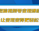 微信视频号变现项目,0粉丝冷启动项目和十三种变现方式-网赚资源网