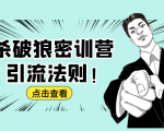 杀破狼密训营:B站霸屏引流的原理及方式+搭建赚钱的内容法则-网赚资源网