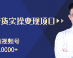 柚子分享课:微信视频号变现攻略,新手零基础轻松日赚千元-网赚资源网