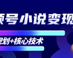 柚子微信视频号小说变现项目，全新玩法零基础也能月入10000+【核心技术】-网赚资源网