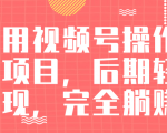 视频号操作书单变现项目,后期轻松变现,完全躺赚日入300至500元-网赚资源网