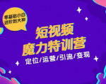 零基础小白进阶到大神《短视频魔力特训营》定位-运营-引流-变现-网赚资源网