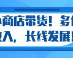 微信小商店带货,爆单多倍收入,长期复利循环!日赚300-800元不等-网赚资源网