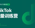 2020最新TikTok流量增长训练营(完结)附PPT-网赚资源网