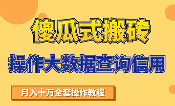 搬砖操作大数据查询信用项目赚钱教程，祝你快速月入6万 - 网赚资源网-网赚资源网