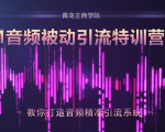 黄岛主·FM音频引流特训营2.0:独家引流模式,单账号50W+播放量,轻松变现-网赚资源网