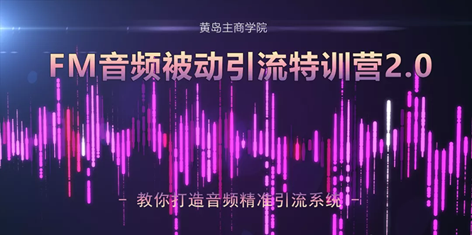 黄岛主·FM音频引流特训营2.0：独家引流模式，单账号50W+播放量，轻松变现 - 网赚资源网-网赚资源网