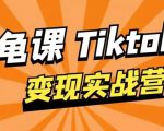 龟课·TikTok变现实战训练营线上第1期,多种变现模式,轻松赚美刀-网赚资源网