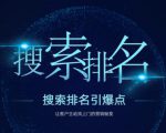 搜索排名引爆点:教你快速掌握各个搜索引擎排名算法,让客户主动找上你的秘笈-网赚资源网