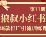 狼叔小红书爆款推广引流训练课第11期,手把手带你玩转小红书-网赚资源网