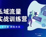 私域流量实战营:7天收获属于您的私域流量池,给你总结出可复制的套路-网赚资源网