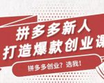 拼多多新人打造爆款创业课:快速引流持续出单,适用于所有新人-网赚资源网