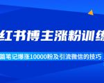 小红书博主涨粉训练营:一篇笔记爆涨10000粉及引流微信的技巧-网赚资源网