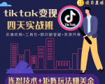 tiktok变现四天实战班,连怼技术+矩阵玩法赚美金!价值998元-网赚资源网