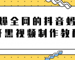 火爆全网的抖音“蚂蚁牙黑”视频制作教程,附软件【视频教程】-网赚资源网