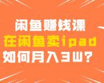 闲鱼赚钱课:在闲鱼卖ipad,如何月入3W?详细操作教程-网赚资源网