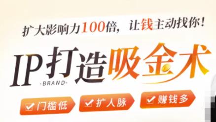 IP打造吸金术：0基础0资源，也能扩大影响力100倍，让钱主动找你！ - 网赚资源网-网赚资源网