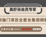 暴利偏门项目全套合集视频教程:你要的日赚1000+月入几万+项目都有-网赚资源网