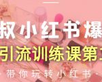 狼叔小红书爆款推广引流训练课第12期,手把手带你玩转小红书-网赚资源网