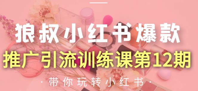 狼叔小红书爆款推广引流训练课第12期，手把手带你玩转小红书 - 网赚资源网-网赚资源网