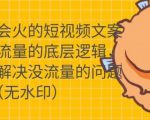 只说话就会火的短视频文案课,从根本上解决没流量的问题-网赚资源网
