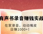 有声书录音赚钱实战:在家录音,动动嘴皮,日赚1000+!-网赚资源网