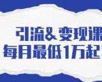 引流&变现课:分享一整套流量方法以及各个渠道收入,每月最低1万起!-网赚资源网