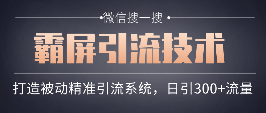 微信搜一搜霸屏引流技术，打造被动精准引流系统，轻松日引300+流量 - 网赚资源网-网赚资源网