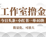 工作室撸金二件套：撸今日头条原创收益+小红书一单利润40块项目-网赚资源网