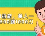 Paypal拉新赚美刀项目,单人一天利润500-1000刀【视频课程】-网赚资源网