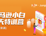 雨课·亚马逊小白特训营第9期 跨境电商挺赚钱的 有朋友已经月入几十万美金-网赚资源网