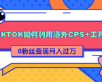 详细解析TIKTOK如何利用海外CPS+工具0粉丝轻松变现月入过万-网赚资源网