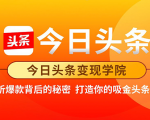 今日头条变现学院·打造你的吸金头条账号,打造10W+实操方法 价值2298元-网赚资源网