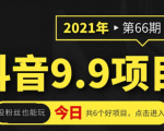 抖音9.9课程项目,没粉丝也能卖课,一天300+粉易变现-网赚资源网